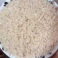 برنج فجر زرین گل|خوردنی و آشامیدنی|علیآباد کتول, |دیوار
