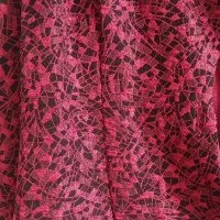 لباس مجلسی|لباس|ساری, |دیوار