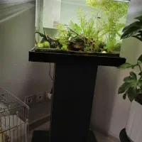 آکواریوم  پلنت بسیار زیبا|ماهی|پردیس, فاز ۲|دیوار