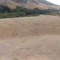 کاه نخود ریز
