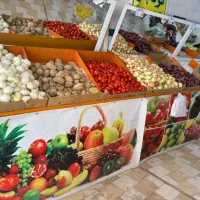 صفر تا صد لوازم و وسایل میوه فروشی|فروشگاه و مغازه|شیراز, قصرالدشت|دیوار