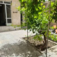 خانه-تک-برگ-سند-اماده-انتقال-143-متر