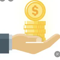 سرمایه گذار