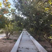 باغ شهری ویلا دشت ارژن|فروش خانه و ویلا|ارژن, |دیوار