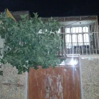 خانه صد متری تاج گذاری کوچه ۱۵ متری