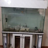 آکواریوم