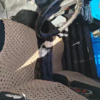 پیکان وانت ۸۷|خودرو سواری و وانت|اصلاندوز, |دیوار