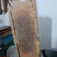 عسل(عمده و خرده)|خوردنی و آشامیدنی|تهران, امام زاده عبدالله|دیوار