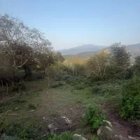 زمین بافت مسکونی منطقه زیبا لفور|فروش زمین و ملک کلنگی|آلاشت, |دیوار