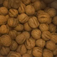 گردو استان کهگلیویه وبویراحمد