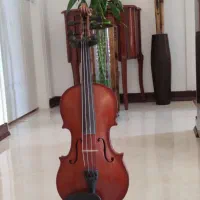 رناتو 120دسته آبنوس همراه با لوازم جانبی|ویولن|بابل, |دیوار