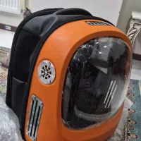 باکس حمل سگ
