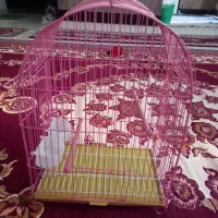 قفس پرنده