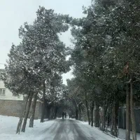 ۵۵۵متر ویلایی جنوبی(( بافت اصلی شهرک بنفشه))|فروش خانه و ویلا|کرج, شهرک بنفشه|دیوار