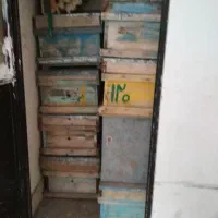 کندوی خالی زنبور عسل