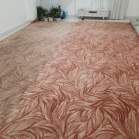 فروش ۲ قطعه موکت ۲۴ متری جمعا ۴۲ متر