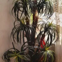 گل مصنوعی نخل ۷شاخه روسی