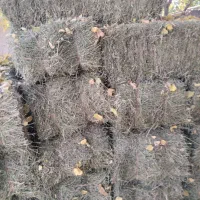 یونجه درجه 1