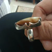 انگشتر داوودی