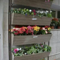 بورس انواع چوب های ضد آب نما و روفگاردن|مصالح و تجهیزات ساختمان|شهرکرد, |دیوار