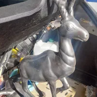 علامت حیوان