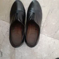 کفش زنانه سایز،سی وهشت