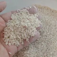 برنج محلی سالم و نیم دانه