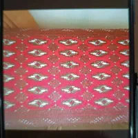 فرش ماشینی|فرش|سنندج, |دیوار