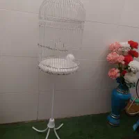 قفس پرنده ایستاده