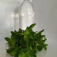 عرقیات خانگی، کاملا طبیعی وبدون هیچ گونه اسانس