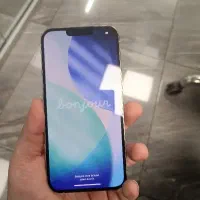 13 PRO MAX LLA 1TB|موبایل|تهران, نیلوفر|دیوار