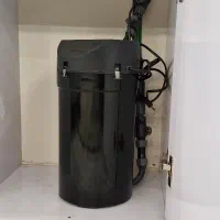 اکواریوم دلسا با پایه|ماهی|گرگان, |دیوار