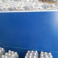 میز پینگ پنگ سالم