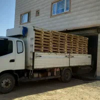 کار در چوب بری