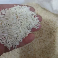 برنج هاشمی درجه یک