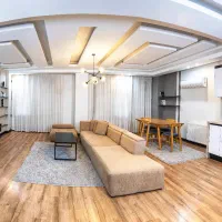 پذیرش پت مصلی بهجت آباد ونک آرژانتین هتلینگ|اجارهٔ کوتاهمدت آپارتمان و سوئیت|تهران, آرژانتین|دیوار