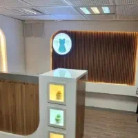 کناف و کارهای خاص برای شما عزیزان|خدمات پیشه و مهارت|بندرعباس, |دیوار