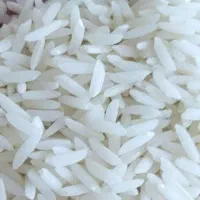 برنج طارم هاشمی عطری درجه یک فریدونگنار