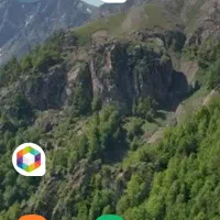 روغن زیتون طارم