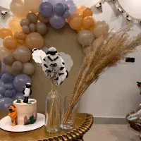 بادکنک فروشی