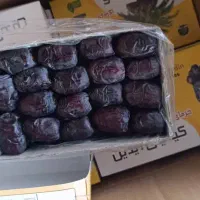 فروش خرمای مضافتی