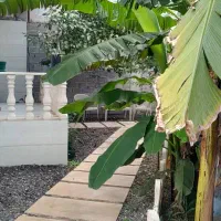 فروش ویلا در لیالستان دسترسی آنی به شهر|فروش خانه و ویلا|لاهیجان, لیالستان|دیوار