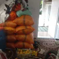 برنج هاشمی درجه یک