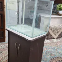 اکواریوم بزرگ با کمد|ماهی|یزد, |دیوار
