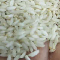 برنج عنبر بو شوشتر درجه ۱ به شرط|خوردنی و آشامیدنی|محمدشهر, محمدشهر|دیوار