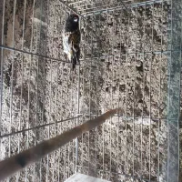 سلام دوستان عزیز عشق بازان
