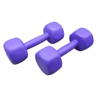 دمبل رادیس فیت|تجهیزات ورزشی|تهران, دانشگاه شریف|دیوار