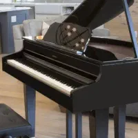 Roland GP607-PE|پیانو، کیبورد، آکاردئون|قزوین, |دیوار