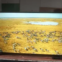 دستگاه ۴۹ اینچ سامسونگ