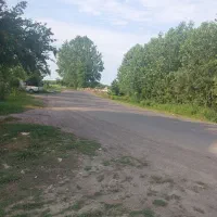 ۲۹۴متر زمین